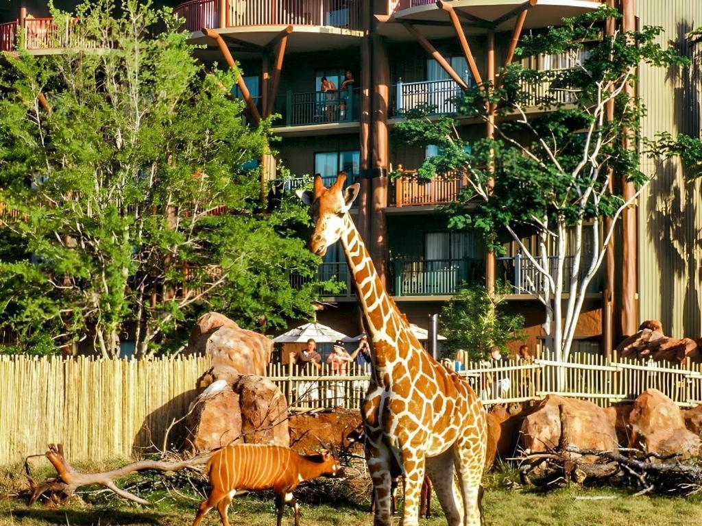 Disney'S Animal Kingdom Lodge Four Corners Exterior foto